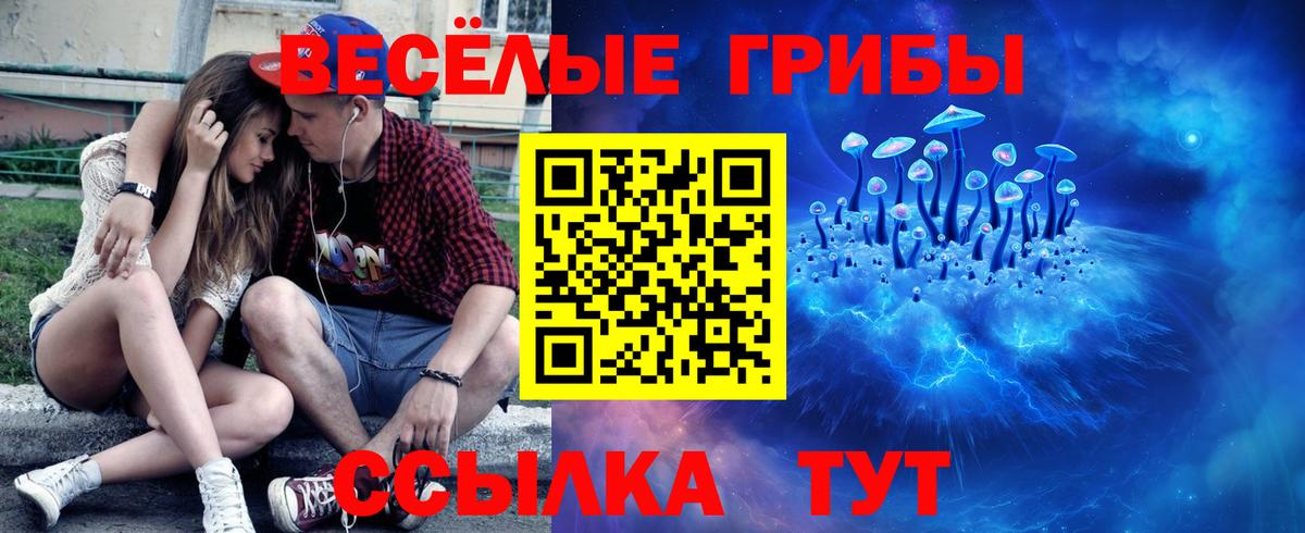 Галлюциногенные грибы Psilocybe  Вход с VPN  Кызыл 